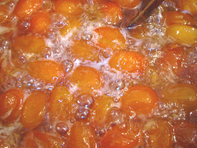 בישול התפוזונים