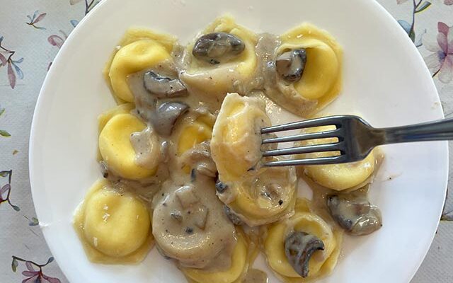Homemade ravioli in mushroom and cream sauce