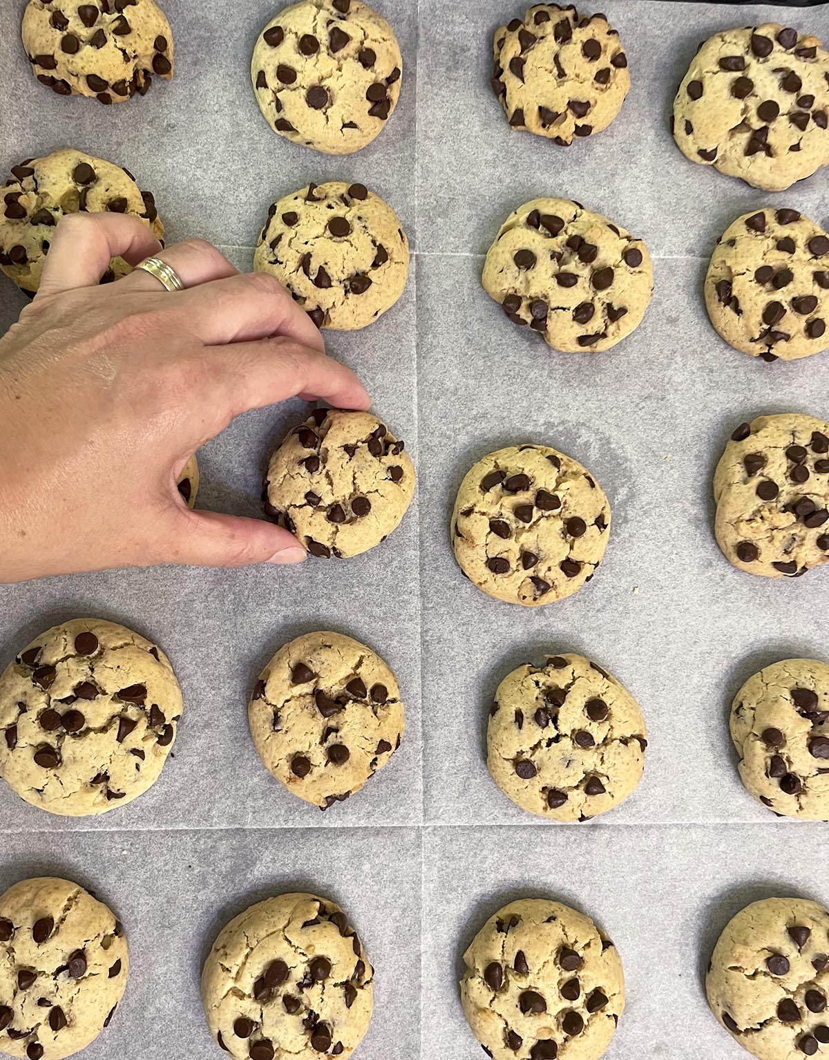 עוגיות שוקולד צ'יפס ופודינג וניל